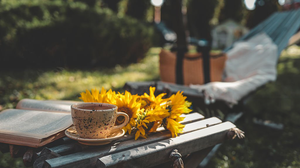 Cup of tea with sunflowers and an open book on a wooden bench in a garden, relaxed hammock in the background